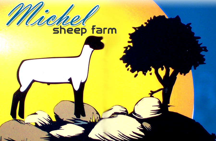 Michel Sheep Farm
